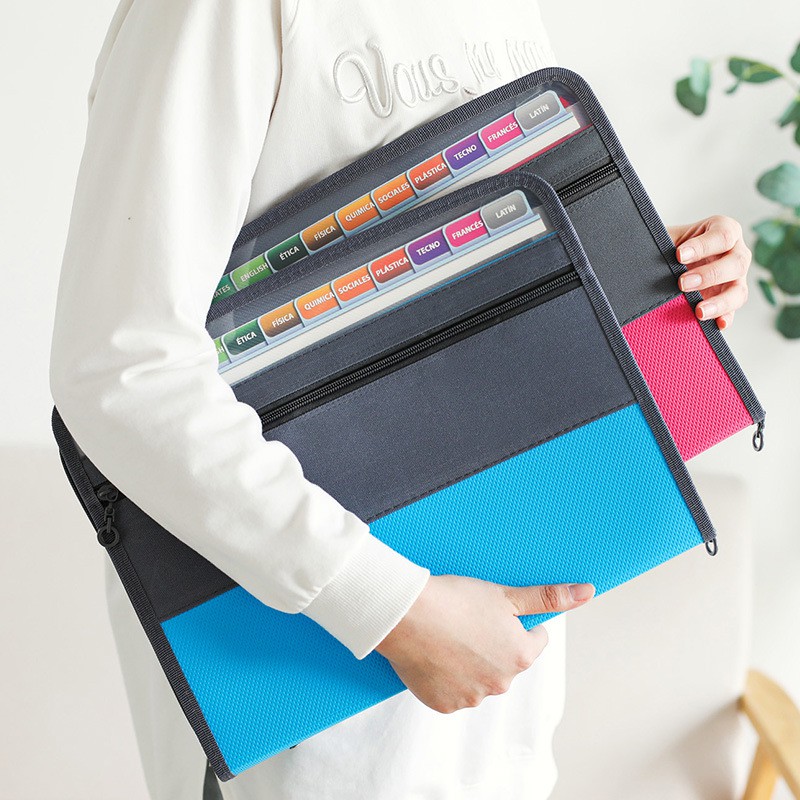 Organizador de archivos de aco - Expandable Accordion File Folder 13 Pockets reseña y precio