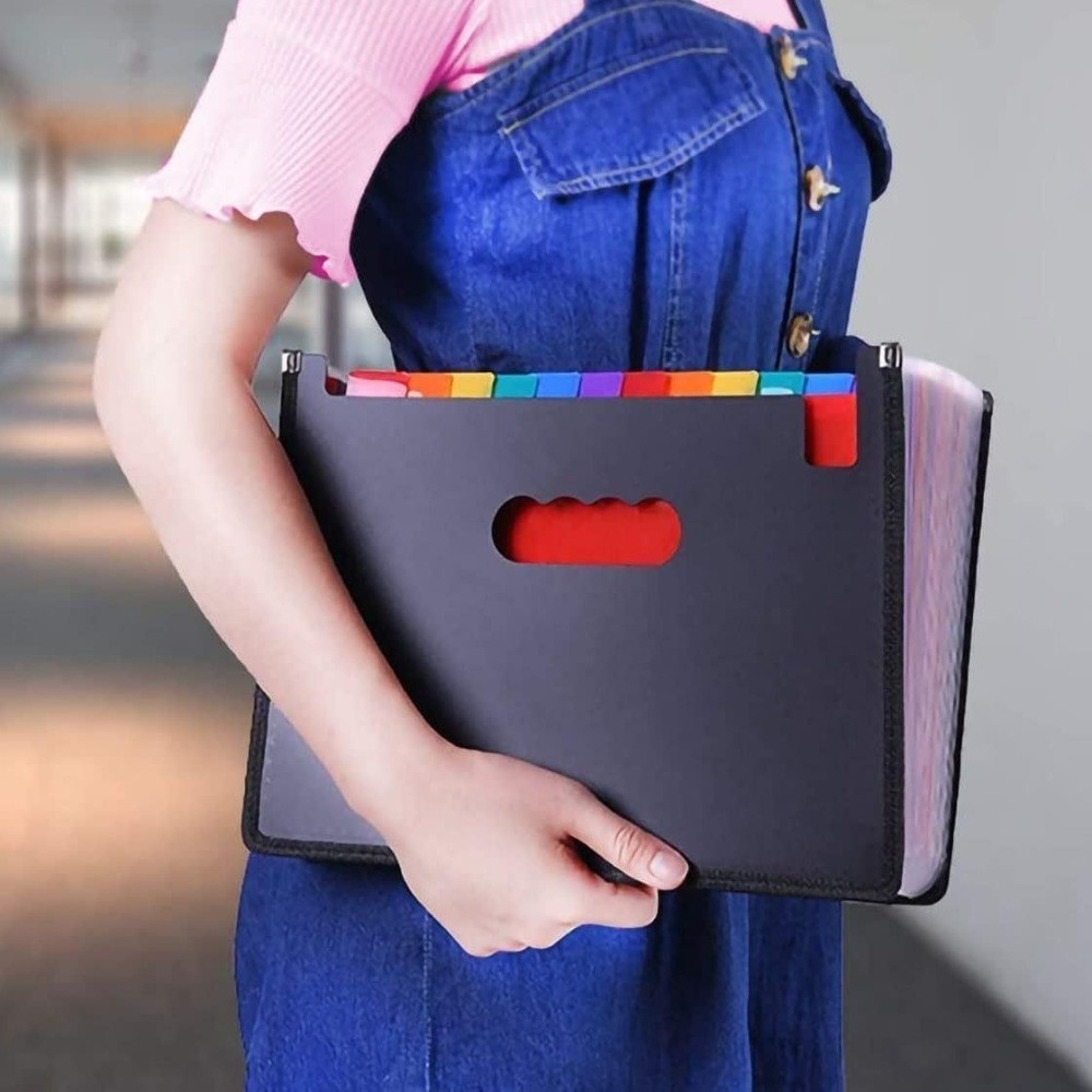 Caja de Archivo Expandible Ver - Expandable Accordion File Folder 13 Pockets reseña y precio